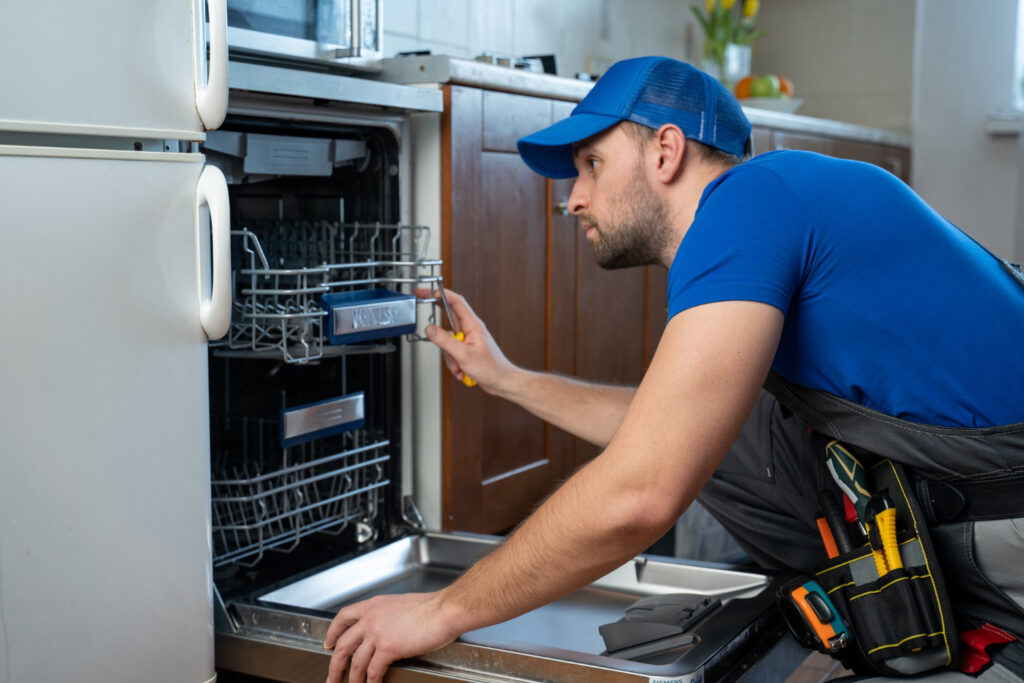 Omega Dishwasher Repair Services